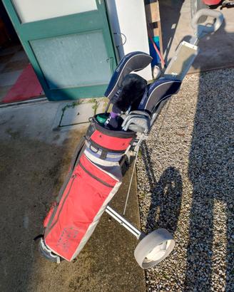 Carrello golf