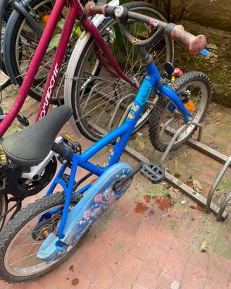 Bicicletta bimbo