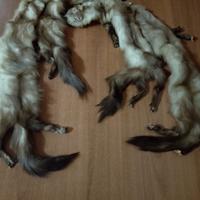 collo di pelliccia di volpi vintage 