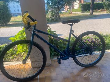 Mountain bike