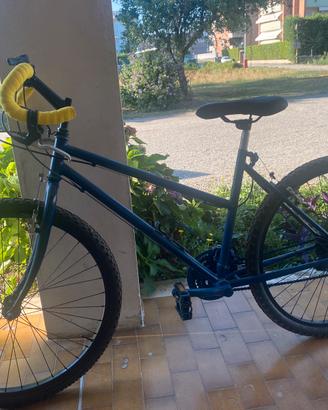 Mountain bike