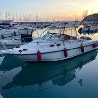 Boston Whaler Conquest 295