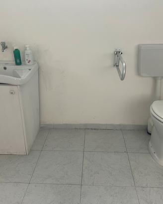 Lavabo , water  e sbarra x disabili