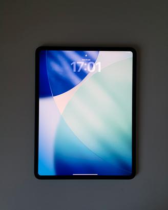 iPad Pro 13" M5 512GB Wi-Fi con Garanzia