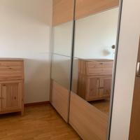 Sistema ad ante a vetro ikea pax