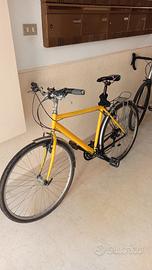 bici da trekking 