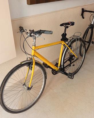 bici da trekking 