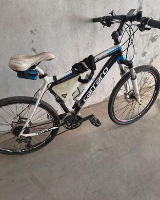 Mountain bike Carraro 