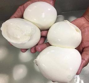 Mozzarella di Bufala di Battipaglia