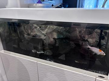 Acquario Ferplast Dubai LED completo 240l