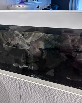 Acquario Ferplast Dubai LED completo 240l