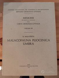 per collezionisti di fossili