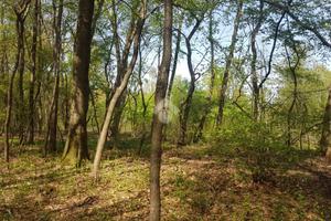 TER. AGRICOLO A CORBETTA