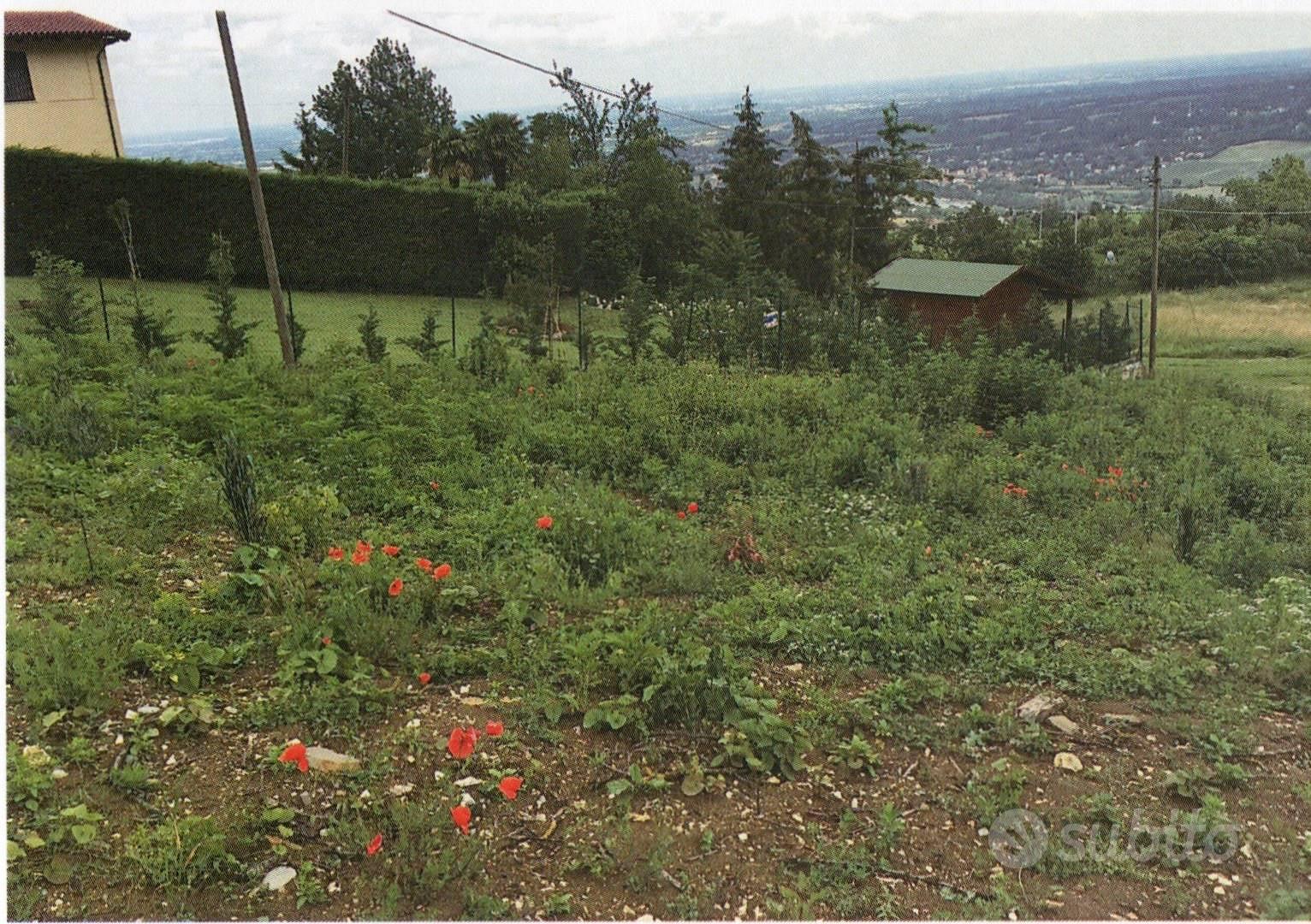 Rif.694| area edificabile travo - Vista 2
