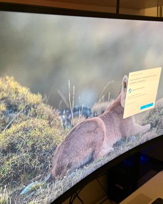 Monitor msi 34 2k