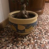 Vaso in terracotta smaltato