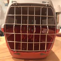 Trasporto gatto