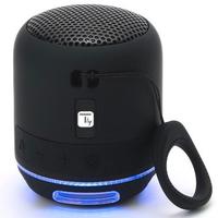 Altoparlante Wireless Portatile Nero con Vivavoce 