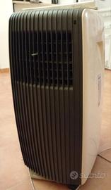 Condizionatore portatile 