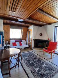 Bilocale arredato sulle piste