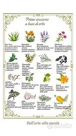 Impiegata erboristeria o alimentazione bio