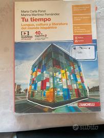 Libri spagnolo