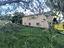 Immagine 14