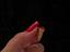 Immagine 6