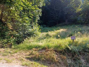 Terreno con bosco a Prarostino (to)