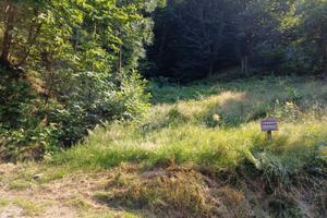 Terreno con bosco a Prarostino (to)