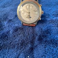 Chrono altanus