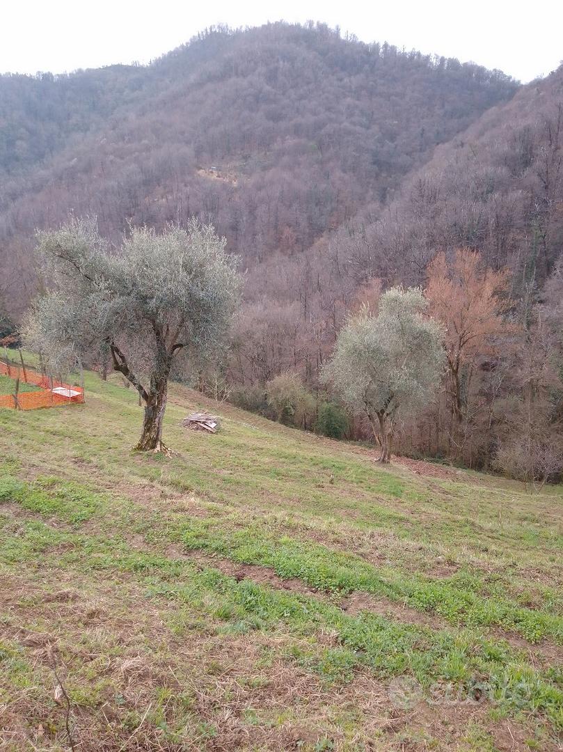 Terreno agricolo - View 3