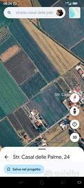 Terreno Latina,   2.5 ha  Casal delle Palme 