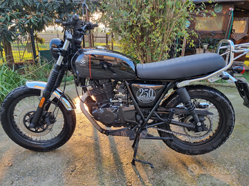 Brixton Cromwell 250