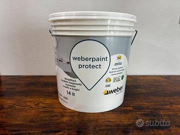 Pittura Lavabile anti muffa - coprente - lt 14