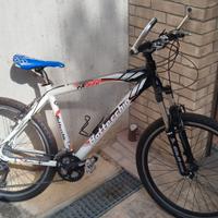 Mountain Bike Bottecchia