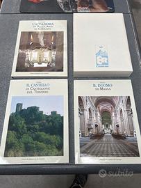 Il duomo di Massa, l’accademia ecc..