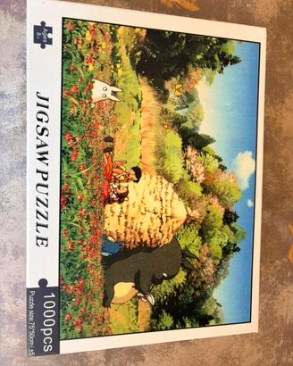 Puzzle da 1000pezzi di Totoyo