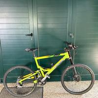 Cannondale jekill 800