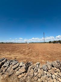 TERRENO DI 1,5 ETTARI CON POSSIBILITÀ DI COSTRUIRE