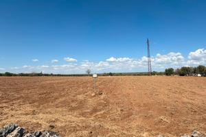 TERRENO DI 1,5 ETTARI CON POSSIBILITÀ DI COSTRUIRE