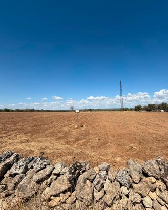 TERRENO DI 1,5 ETTARI CON POSSIBILITÀ DI COSTRUIRE