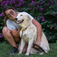 Cucciolone in adozione