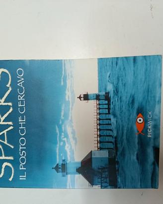 Sparks Nicholas- romanzo- amore