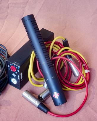 Microfono Neumann rms 190