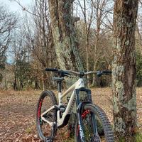Specialized enduro elite 2020