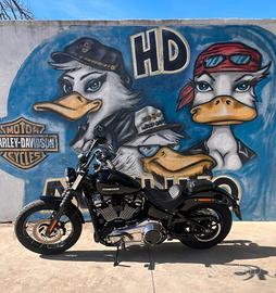 Harley-davidson Softail Street Bob MY25