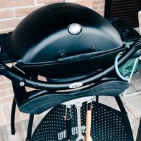 Barbecue Weber Q2200 Con supporto