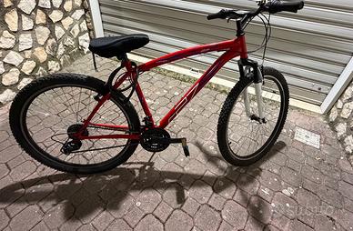Bici mtb