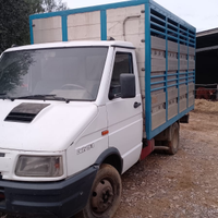 Iveco Daily 35/10 trasporto bestiame animali vivi